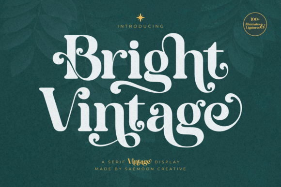 Bright Vintage: A Serif Display Font for Timeless Web Design