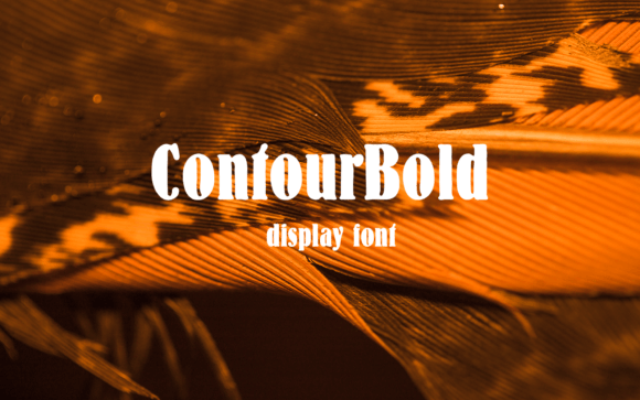 Contour Bold: A Typeface That Commands Attention