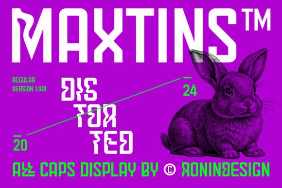 Maxtins: The Font That Transformed My Bakery’s Brand