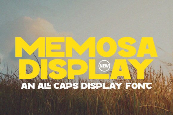 Memosa: A Bold Typeface for Impactful Branding